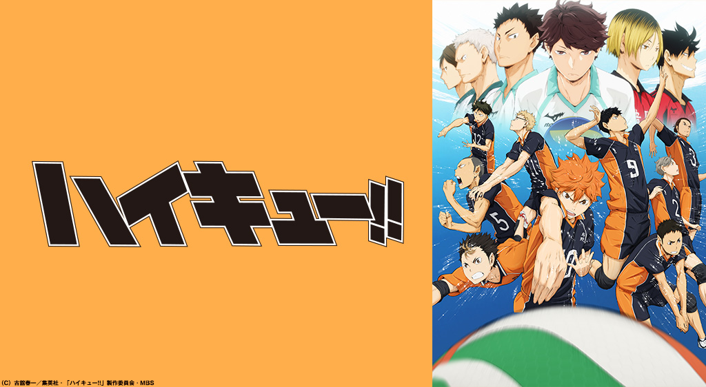 アニメ『ハイキュー!!』シリーズの見逃し動画を配信しているサブスクをコスパで比較