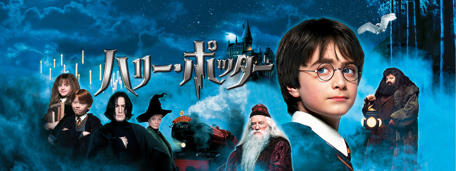 映画『ハリー・ポッター』シリーズの見逃し動画を配信しているサブスクをコスパで比較