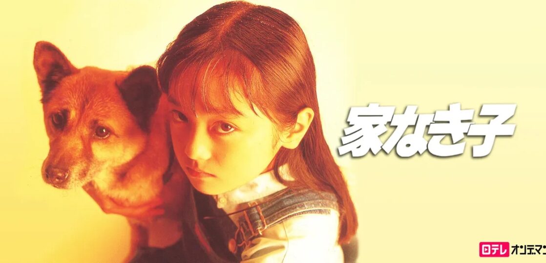 ドラマ『家なき子』の見逃し動画を配信しているサブスクをコスパで比較