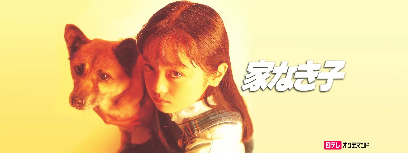 ドラマ『家なき子』の見逃し動画を配信しているサブスクをコスパで比較