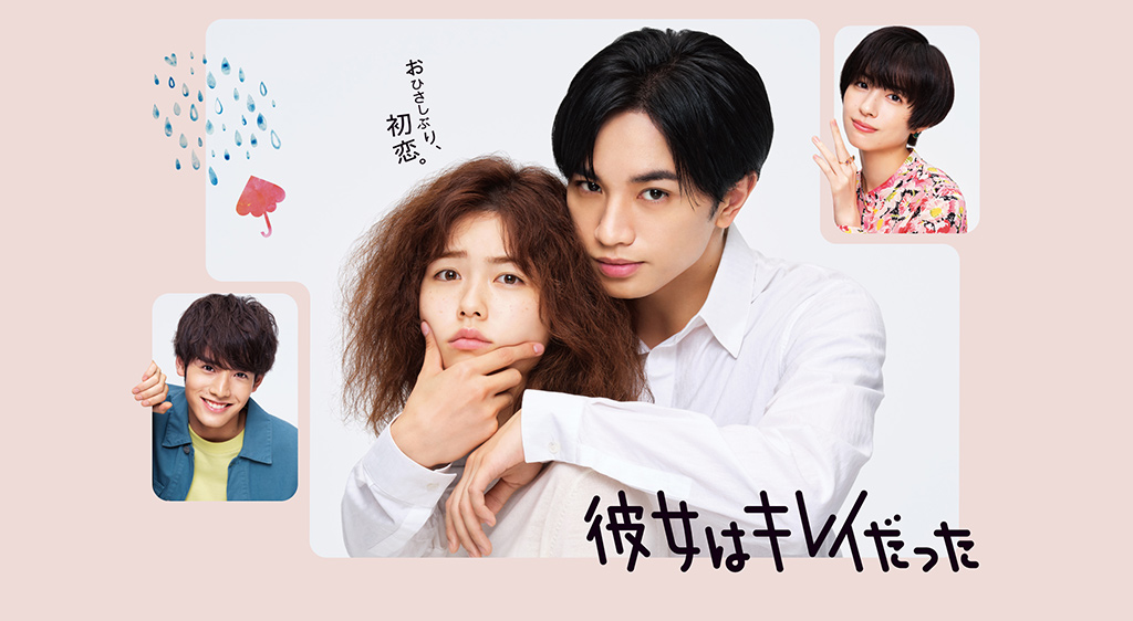 ドラマ『彼女はキレイだった』の見逃し動画を配信しているサブスクをコスパで比較