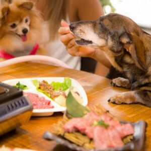 焼肉 ぽんがLA 代々木八幡_02